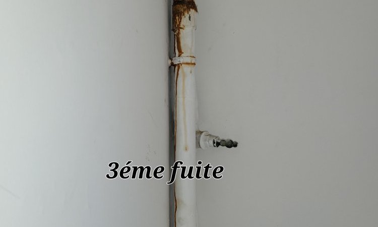 Recherche de fuite en parties communes, Marseille 1er arrondissement